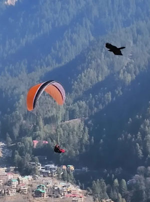 Paragliding